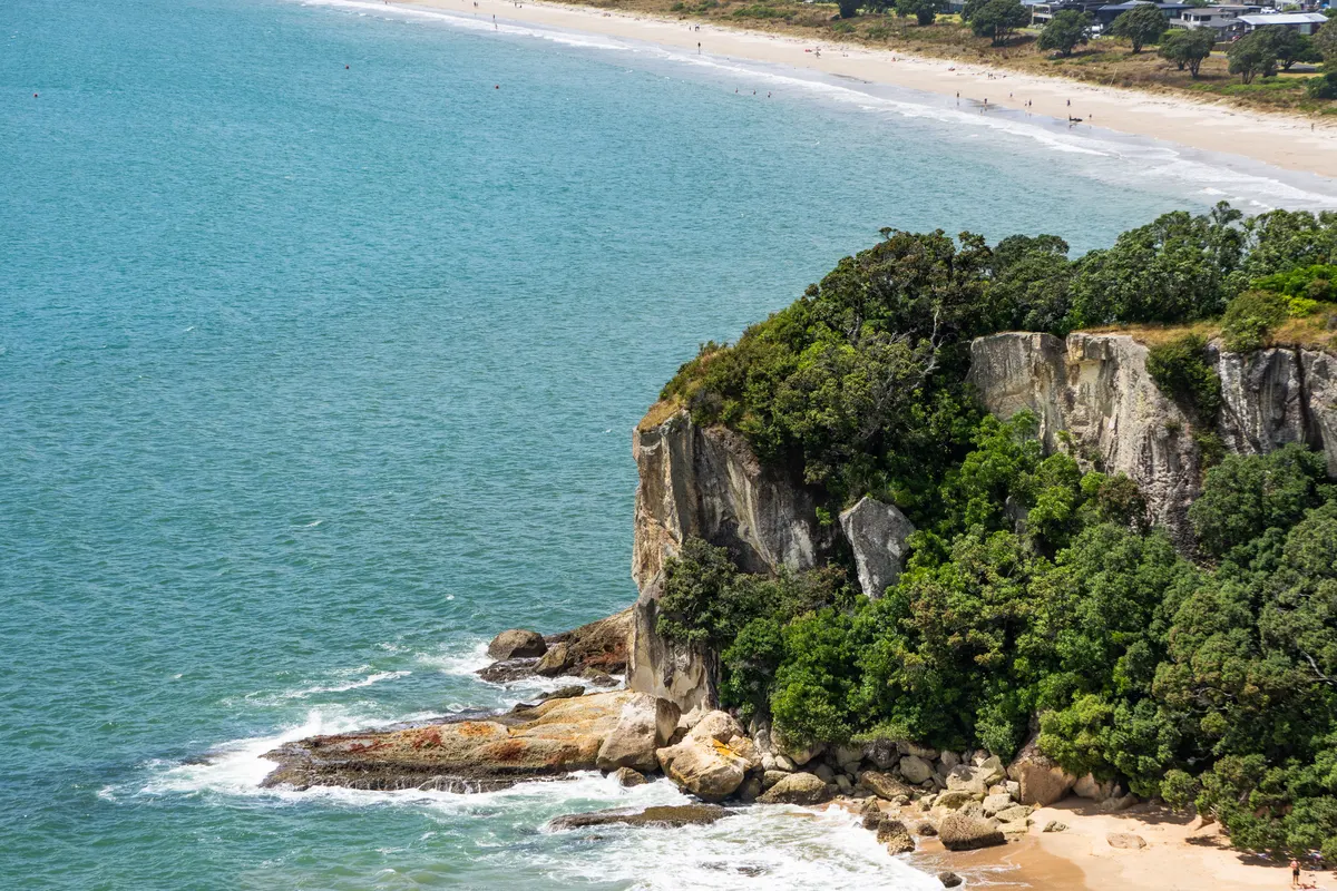 White cliffs and pōhutukawa above the turquoise water of Cooks Beach, seen from Shakespeare Cliff lookout