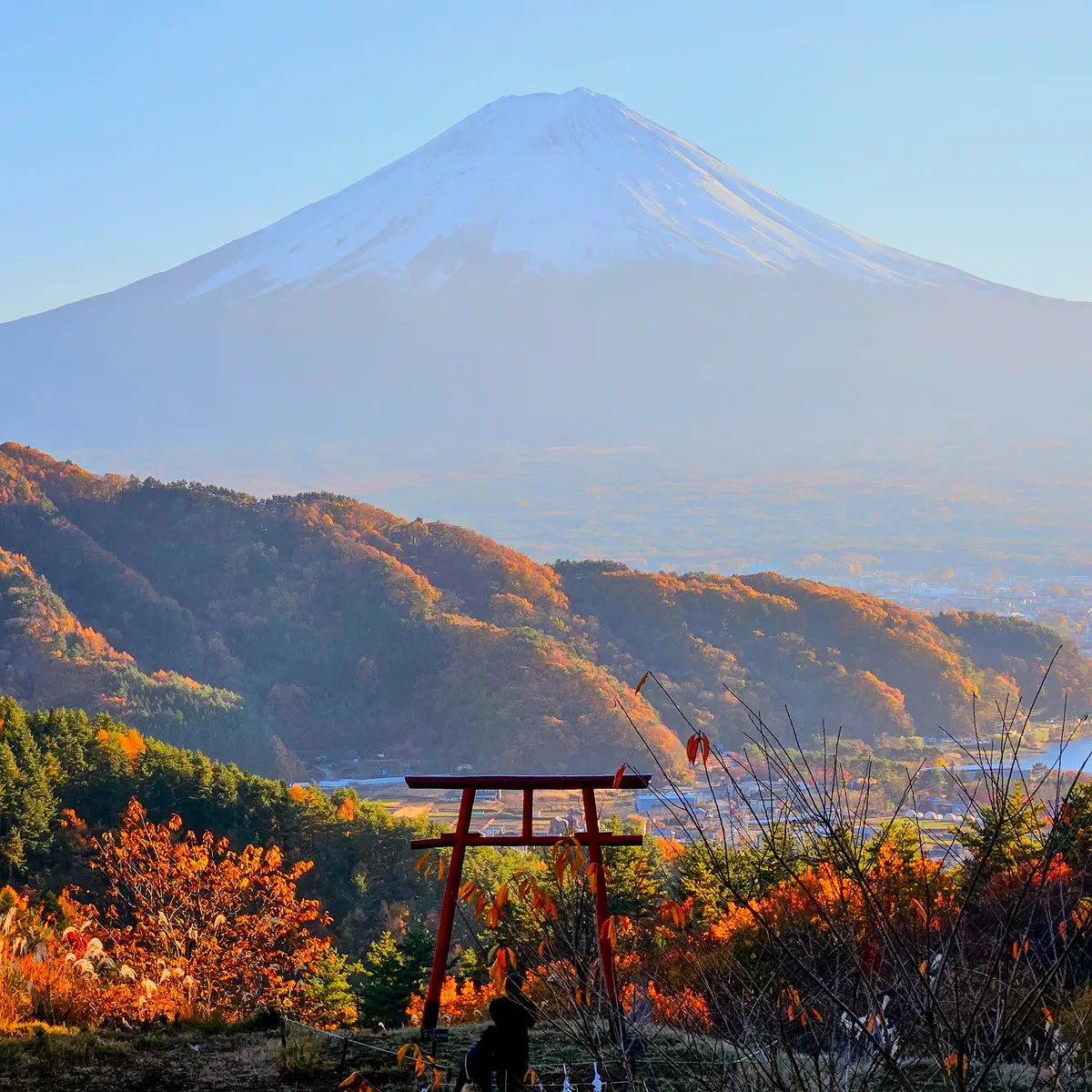 A vibrant landscape shot featuring a small, wooden red Shinto torii gate standing on a hillside in the foreground, surrounded by autumn foliage in shades of orange and yellow. In the background, the majestic, symmetrical, snow-capped peak of Mount Fuji rises dramatically above hazy rolling hills under a clear blue sky.