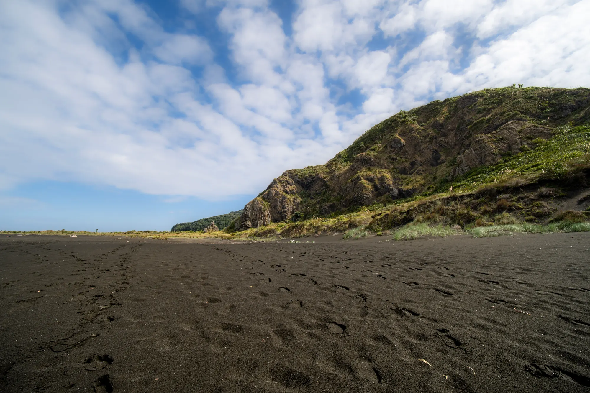 Footprints across the black sand of Whatipu Beach beneath a green headland, West Auckland